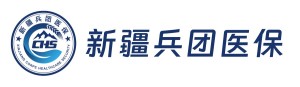 新疆建设兵团医保智慧运维内控系统