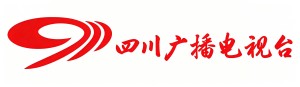XXX省广播电视台公务车智慧管理平台